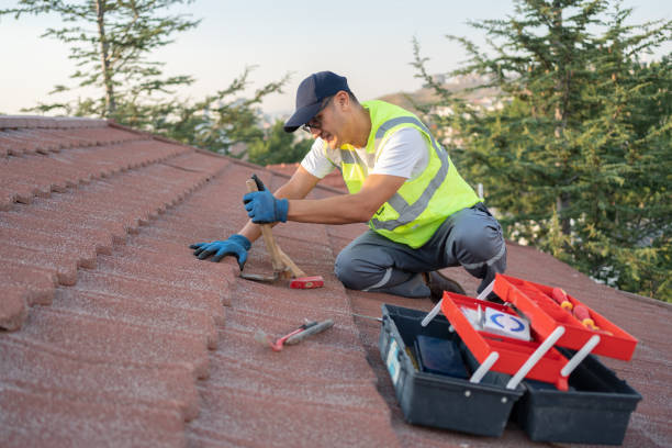 Best Metal Roofing Contractor  in Big Lake, WA
